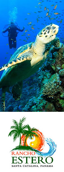 Visit Rancho Estero